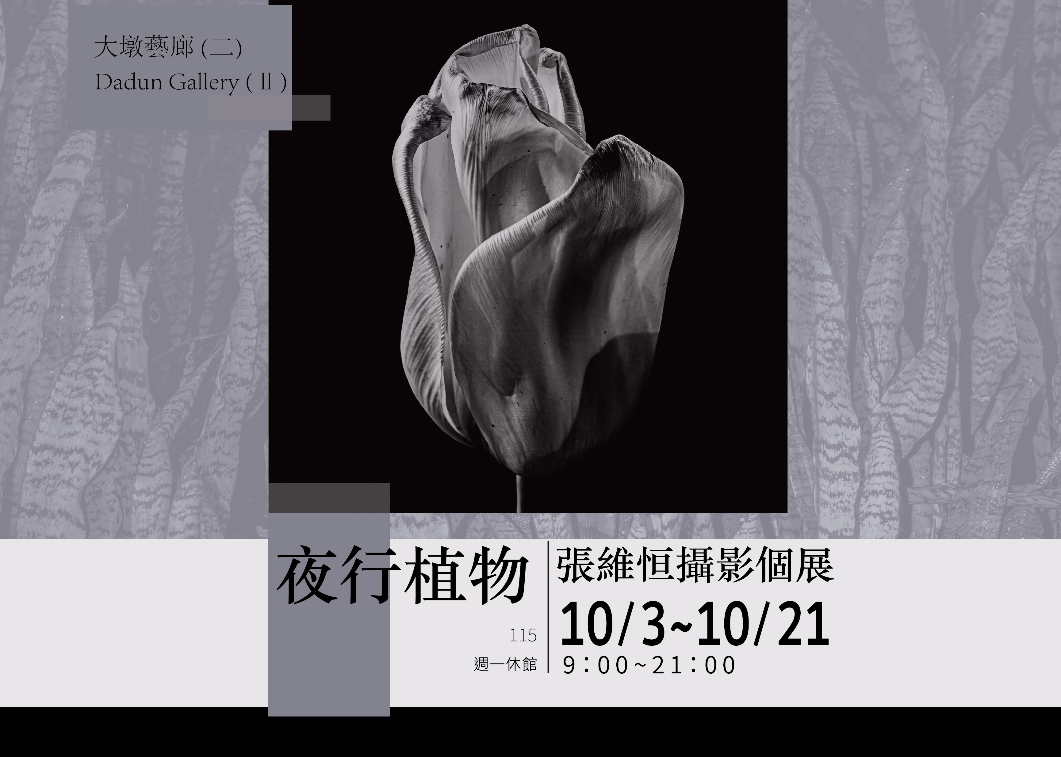 夜行植物～張維恒攝影個展