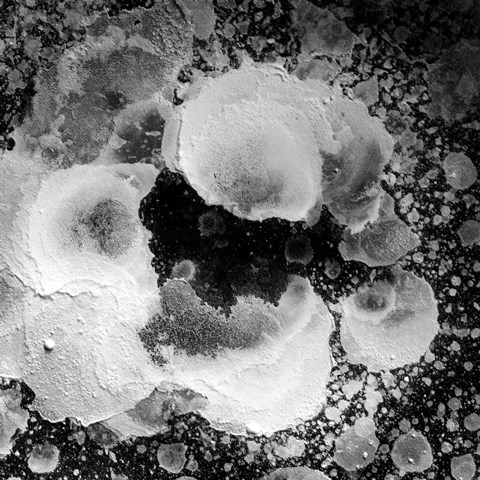 境隨心轉－侯純純視覺設計實驗創作個展 的推廣活動宣傳圖片