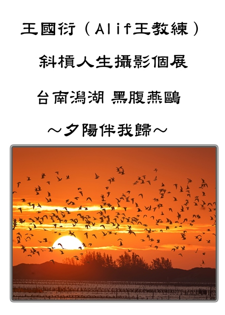 王國衍（Alif王教練）斜槓人生攝影個展 野鳥生態&臺灣之美 的推廣活動宣傳圖片